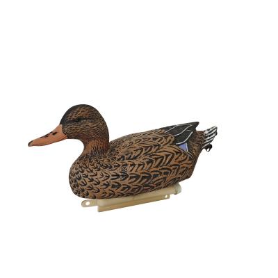 China Outdoor Floating Hunting Duck Decoy Mallard Drake / Mallard Hen Decoys Real Like Size for sale