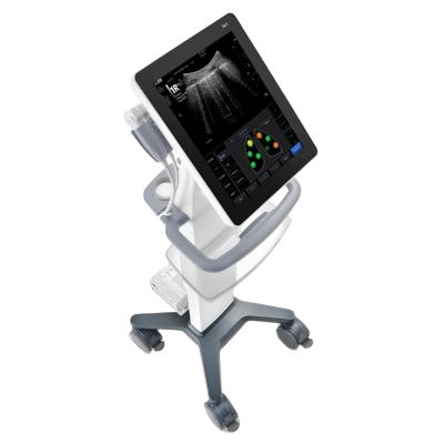 China Newest Hosipital THR-CD7 Medical Hosipital Point-of-Care Ultrasound System for sale