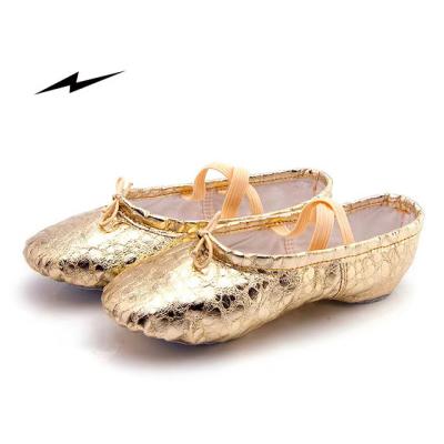 China Factory Price Professional Good Quality Cheap Ballroom Dancer Ballet Shoe Flat Foldable Shoes Children/Ballet Multi Design for sale