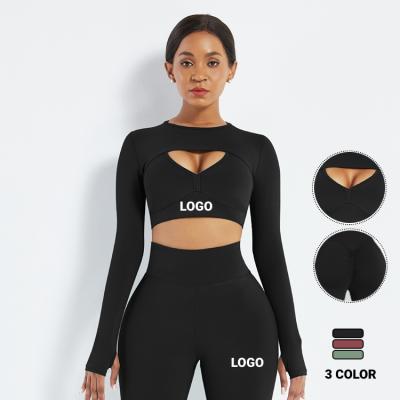 China Custom Logo New Listing 3 Color 3 Piece Sweatsuit Breathable Set Autumn Plain Tracksuit Set Women Summer Fitness Wear for sale