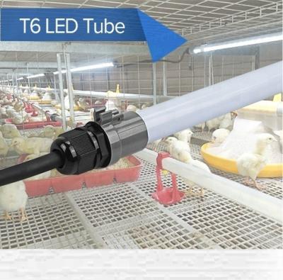 China Aluminum Led Tube Lighting Waterproof DC 48V Led Tube For Chicken Dimmable Poultry Farm Lights Led Light Bar for sale