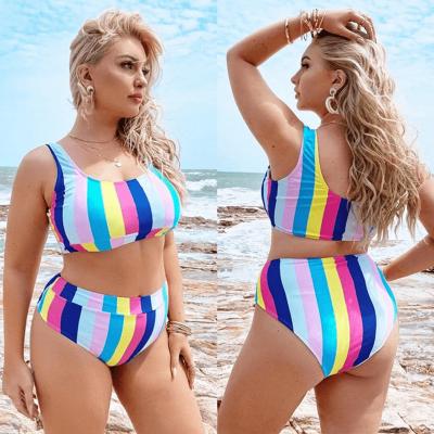 China Floral Print Plus Size Stripe Bikini Two Piece Swimwear Simple Swimwear Plus Size Ladies Tops Plus Size Women for sale