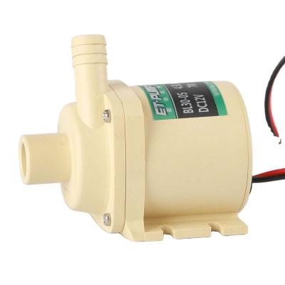 China Family Houses Mini Brushless Pump Brushless Motor Pump 24V DC Waterproof Pump High Pressure Large Water Flow for sale