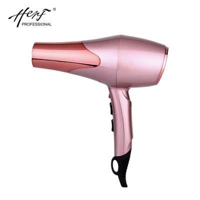 China 2020 Professional 1800W Ionic Model Customized Small Electric Hair Dryer For Household for sale