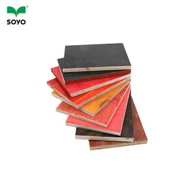 China construction formwork carrom panel plywood circle pine plywood tiger wood concrete plywood for sale