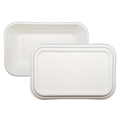 China Biodegradable Compostable Bagasse Food Container With PP PET Bagasse Lid for sale