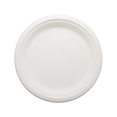 China Art Decor 100% Biodegradable Sugarcane Bagasse Disposable Dish with Round, Oval, Rectangle, Square, Shape for sale