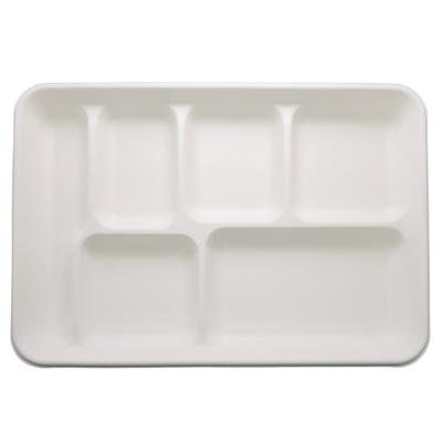 China Disposable Biodegradable Compostable Sugarcane Bagasse Takeout Food Serving Disposable Tray for sale