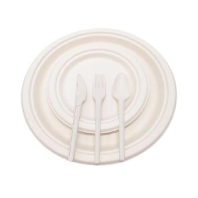 China 125pcs Disposable Biodegradable Tableware Set, Sugar Cane Dishes, CPLA Compostable Cutlery for sale