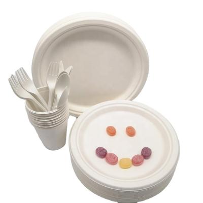 China Disposable Disposable Biodegradable Tableware Set 300 Pcs Sugar Cane Bagasse Dishes And Cups Compostable Cutlery for sale