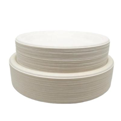 China 125 Count Disposable Sugar Cane Pulp Bagassr Disposable Compostable Tableware 10 Inch Dishes for sale