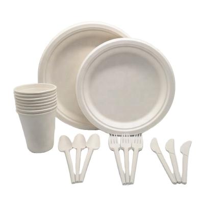 China CLASSIC Disposable Dinnerware Set 300pcs , Compostable And Biodegradable Dinnerware Set for sale