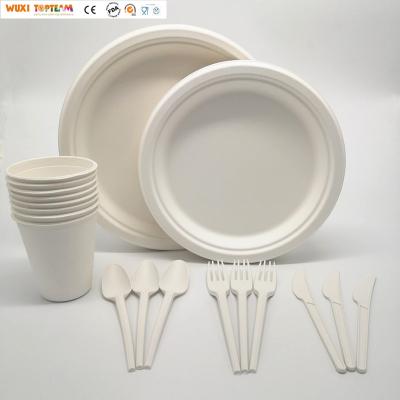 China 300 Piece Disposable Biodegradable Dinnerware Set for sale