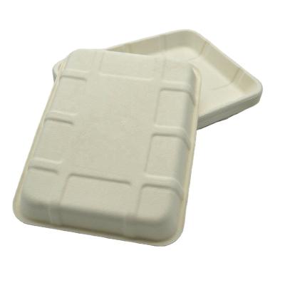 China PFAS Environmental Protection Bagasse Biodegradable Bagasse Free Bagasse Disposable Tray 21.7*15.3*1.4cm for sale