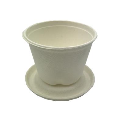 China Sustainable Compostable 4oz Eco-Friendly Cups, 100% Biodegradable Sugarcane Plant Fiber Pulp PFAS Free for sale