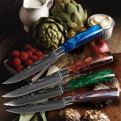 China Stocked Dropshipping hot selling multi-color resin knife handle very sharp steak knives set Te koop