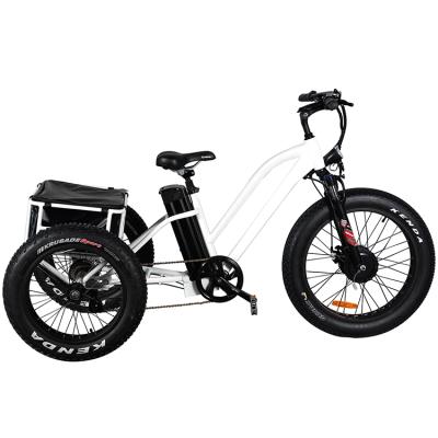 China Aluminum Alloy M Fat Tire Delivery 3 Wheel Electric Bicycle Electric Bicycle for sale