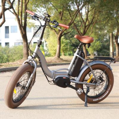 China PAS With Torque Sensor Folding Electric Bicycle With Mid Crank Drive From Chinese Factory for sale