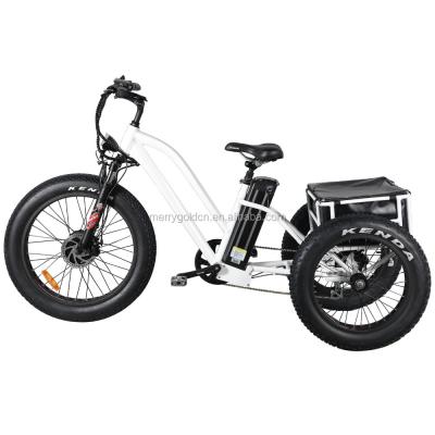 China 2020 new model cargo 20 inch adult electric cargo tricycle with good aftersale service for sale