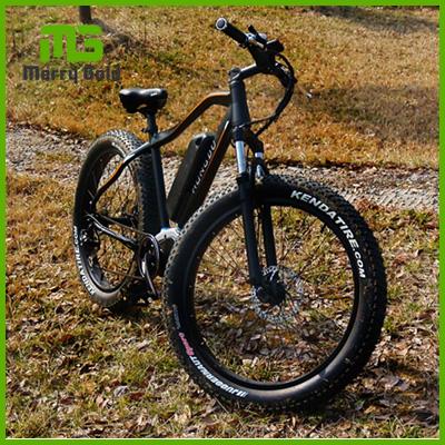 China Recreational Fat Tire Central Motor Ebike Suspension Aluminum Alloy Fork Mountain Electric Biycle 350W 48V for sale