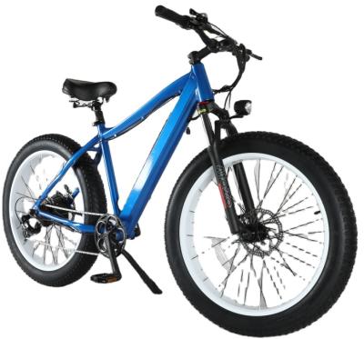 China Standard Big Power 750W Fat Tire Electric Bike E Cycle Electric Bike Mountain for sale