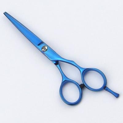 China Right Hand Professional Hair Cutting Scissors 5.5'' For Long Hair Cutting for sale