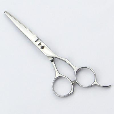 China Durable Professional Hair Shears 6 inch Beauty Salon Equipment for sale