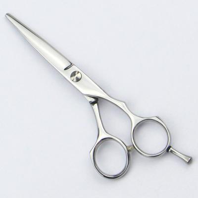 China High Precision Hair Cutting Scissors Ball Bearing Screw Design For Salon Hair Cutting for sale