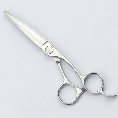 China El corte del pelo de 5,5 pulgadas Scissors/los esquileos profesionales del peluquero para las explosiones en venta