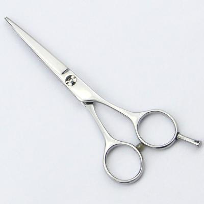 China El pelo del acero inoxidable scissors las tijeras profesionales del peluquero de 5,5 pulgadas en venta