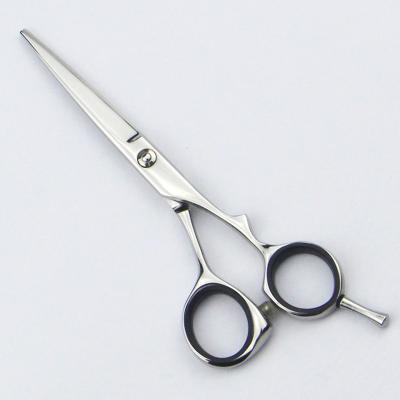 China El pelo del acero inoxidable scissors las tijeras profesionales del peluquero de 5,5 pulgadas en venta