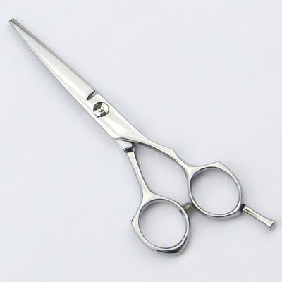 China El pelo del acero inoxidable scissors las tijeras profesionales del peluquero de 5,5 pulgadas en venta