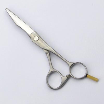 China El pelo Titanium popular Scissors el acero inoxidable para el corte del pelo en venta