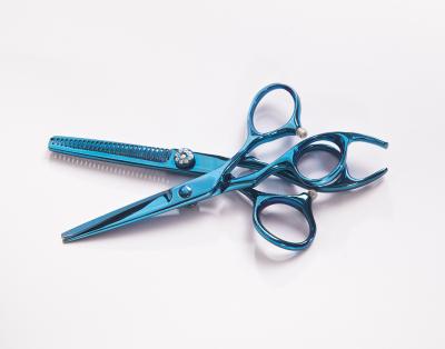 China Customized Blue Hair Cutting Thinning Shears 5.5 Inch Convex Edge Blade for sale