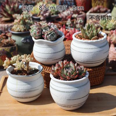 China Amazon CLASSIC Hot Selling Fleshy Flowerpot Set Breathable Ceramic Plant Pots Wholesale Succulent Cactus Planter Garden Decor for sale