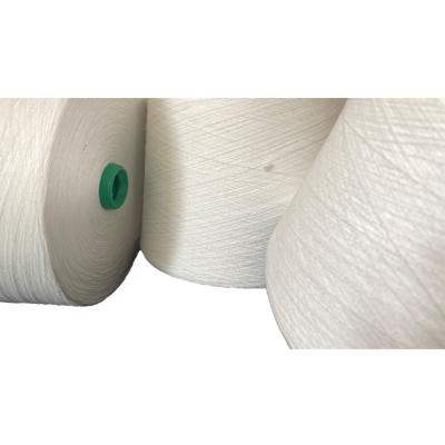 China Viable Low Price And Good Service Fabric Industrial Polyester Fabric 100% White Polyester for sale