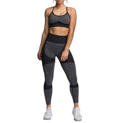 China Breathable Women Fitness Clothing Sport Wear Yoga Set Gym Jogging Suits Running Sportswear Gaiters Women Set for sale