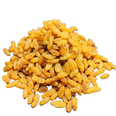 China Hot Sale Dried Yellow Raisins China Supplier, Factory Price for sale