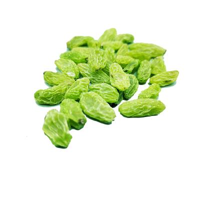 China China Manufacture Supply Natural High Quality Seedless Green Raisins in Bulk for sale