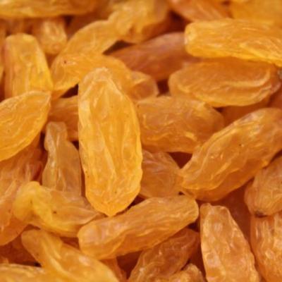 China Top Grade Dry Jumbo Fruits Golden Raisins , Large Size for sale