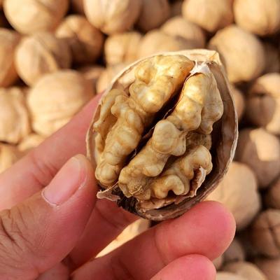 China Wholesale High Quality Thin Dry Walnut Kernel Shell Gold Direct Selling From China for sale