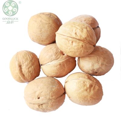 China Excellent dry good quality Thin-skin paper shell walnuts with shell in bulk good quality Chinese walnut wholesale in shell for sale