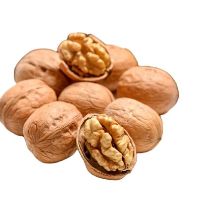 China Dry Good Luck Top Grade Thinskin Raw Walnuts With Healthy Organic Dried Fruit 100% Shell Walnut Inshell Paper Xinjiang Shell Walnut for sale