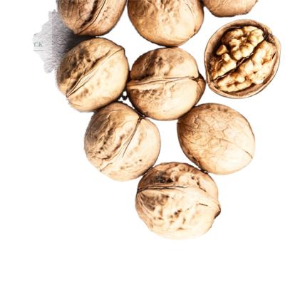 China Dried Manufacturers Supply China Xinjiang Factory Lowest Price Inner Shell Fresh Walnut Green Shell Walnuts Wholesale Price for sale