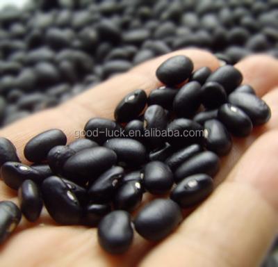 China Dried Selling Polished Black Beans With White Cores, China Origin for sale