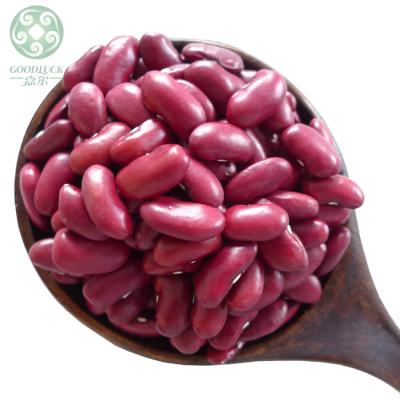 China China Dried Dark Kidney Beans, British Red Kidney Beans, RKB for sale