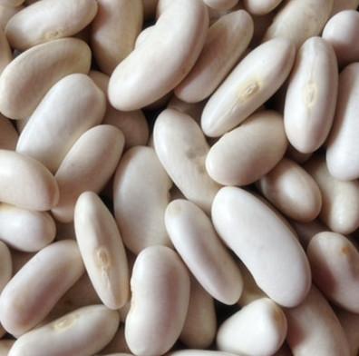 China Dried Chinese White Beans / Kidney Beans 180-200 for sale