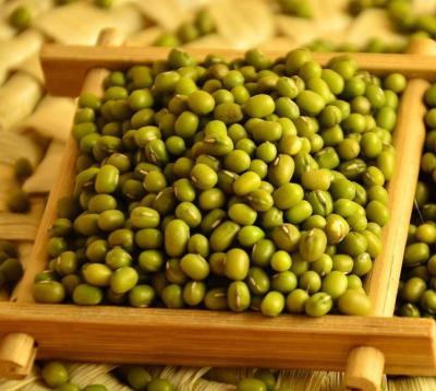 China New Cultivation Green Dried Mung Beans, China Origin, 97% Up Germination Rate for sale