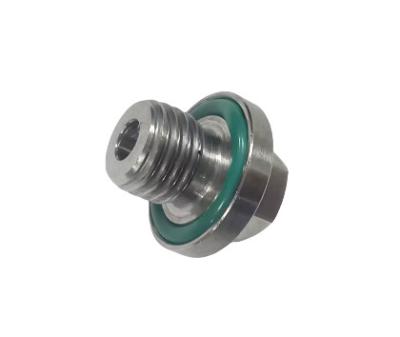 Chine Stainless Steel Magnetic Drain Plug with Hex Head, M12 Thread, for Automotive and Appliance Industrie à vendre