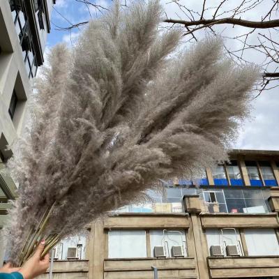 China Wholesale Home Decor For Wedding Centerpiece Stand Tubular Straw Large Natural Dry Gray Pampas Grass for sale